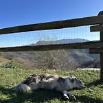 Almastur Rural