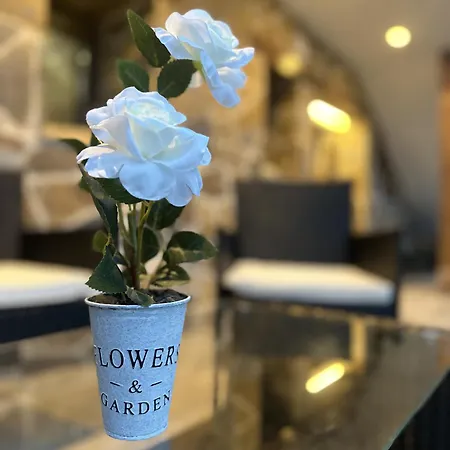 Villa Almastur Rural *