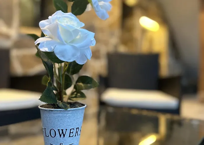 Villa Almastur Rural *